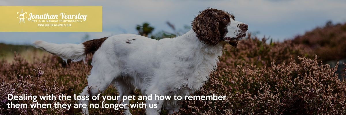 Dealing with the loss of your pet