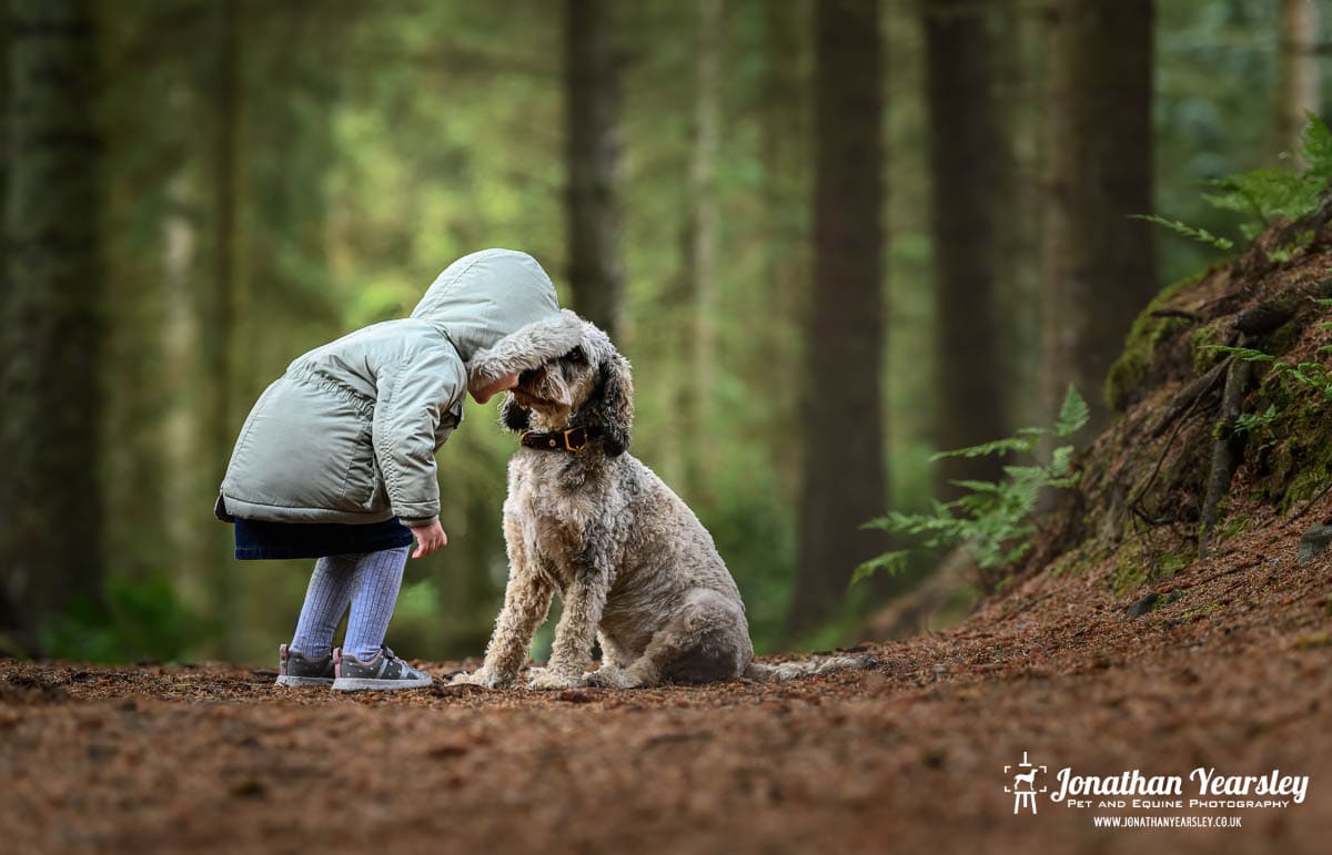 A little girl is sweetly kissing a Cockapoo dog in the woods.