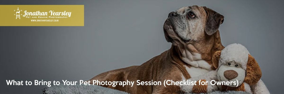 A brown and white bulldog lies on a soft gray blanket, resting its head on a plush stuffed monkey. A yellow banner reads "Jonathan Yearsley Pet and Equine Photography." Below: “What to Bring to Your Pet Photography Session (dog photography tips checklist).”.