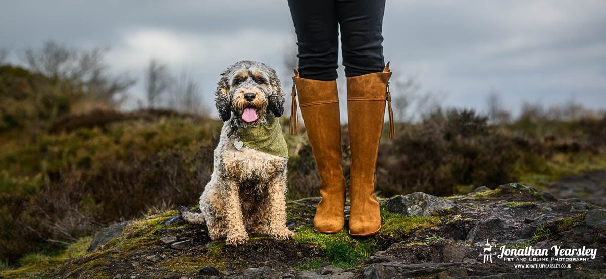 A dog with curly fur and a green bandana sits on mossy rocks beside a person in tan knee-high boots; the sky is overcast and the landscape is rugged